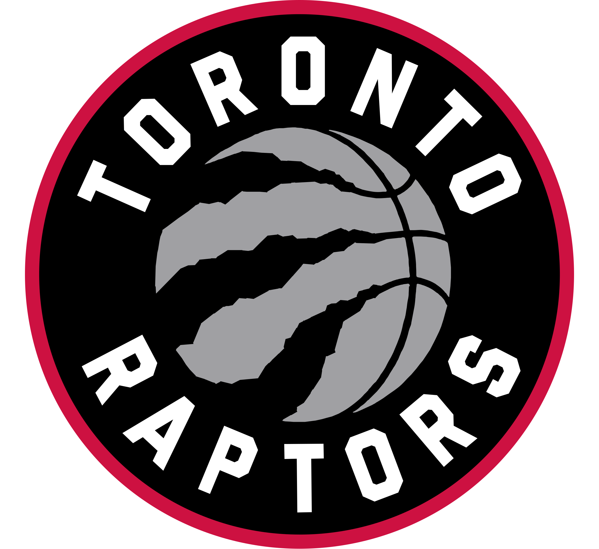 Raptors